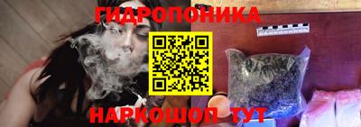 ECSTASY Аргун