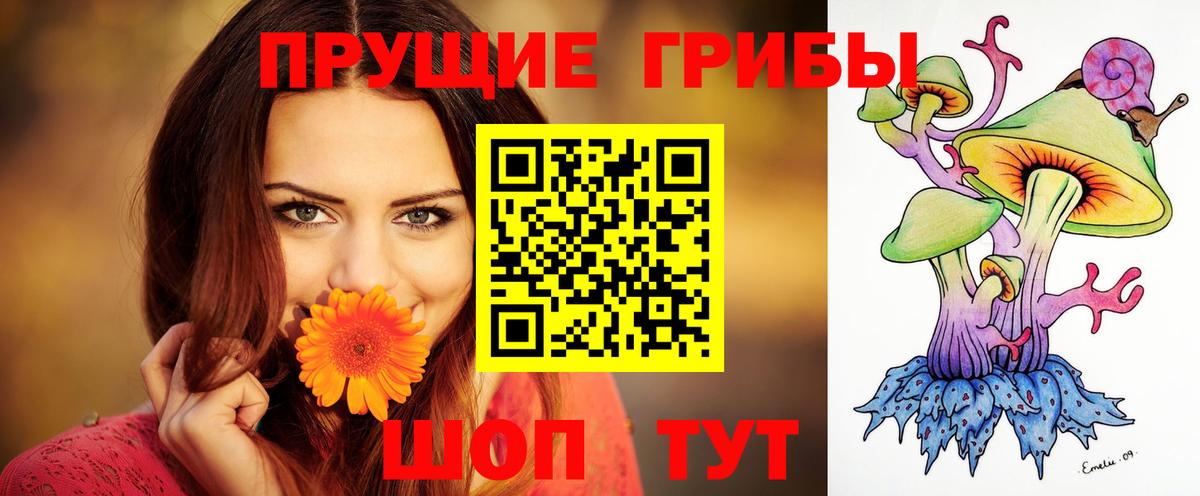 Псилоцибиновые грибы Psilocybine cubensis  Вход с VPN  где найти наркотики  Борзя 